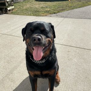 Meet your Posher, Sue